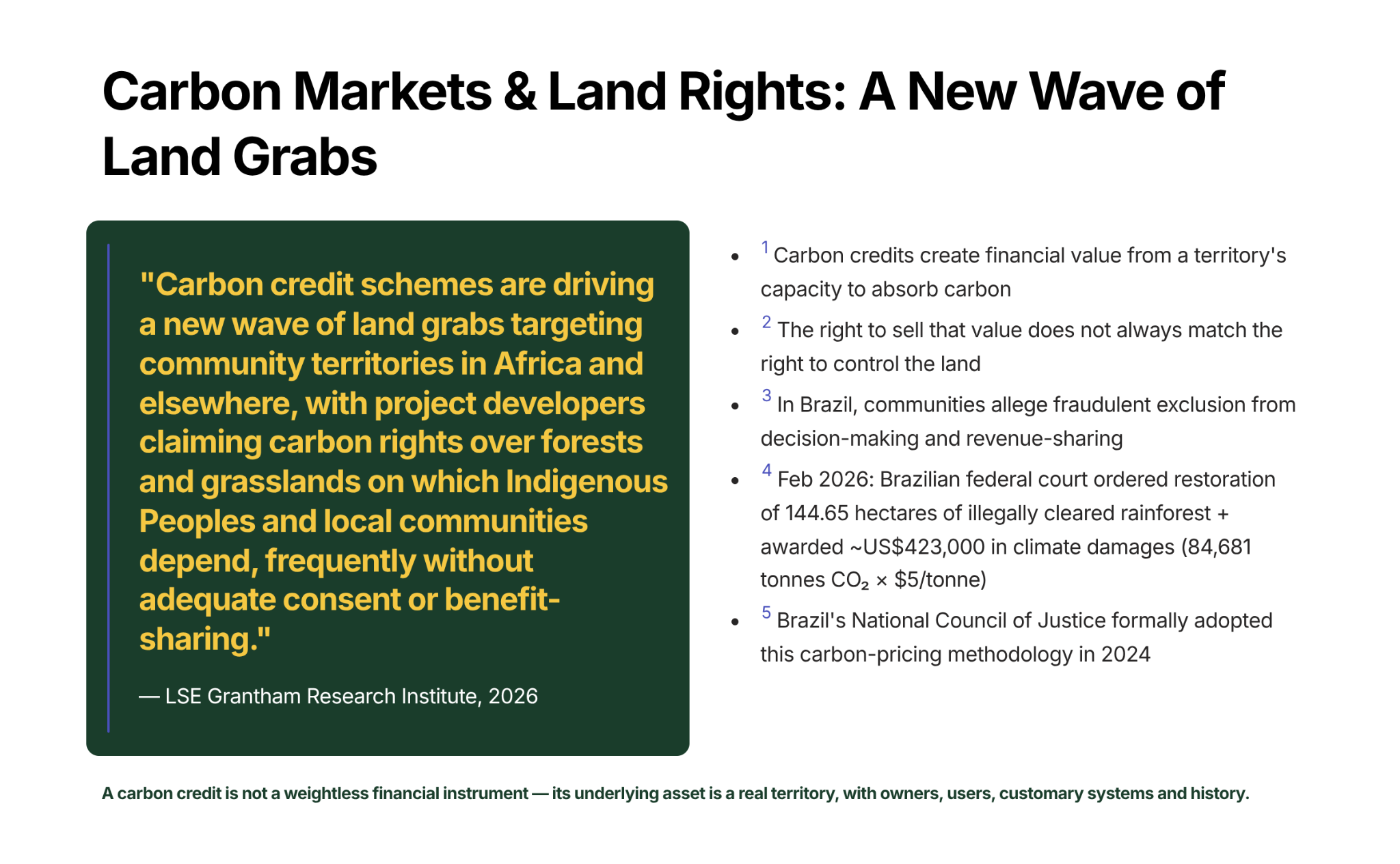 Carbon markets and land rights: why carbon credits are not weightless financial instruments.
